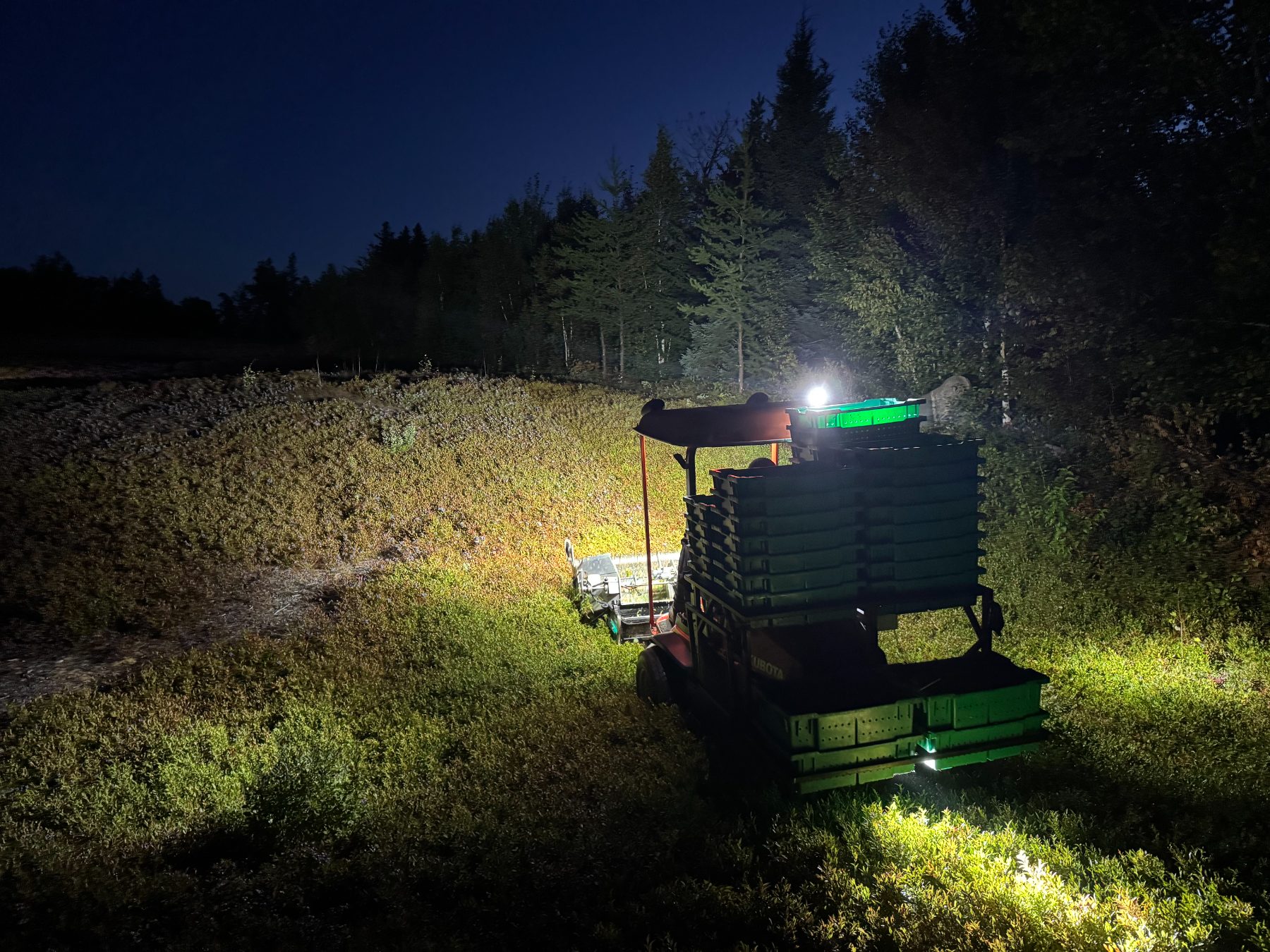 Récolte de nuit